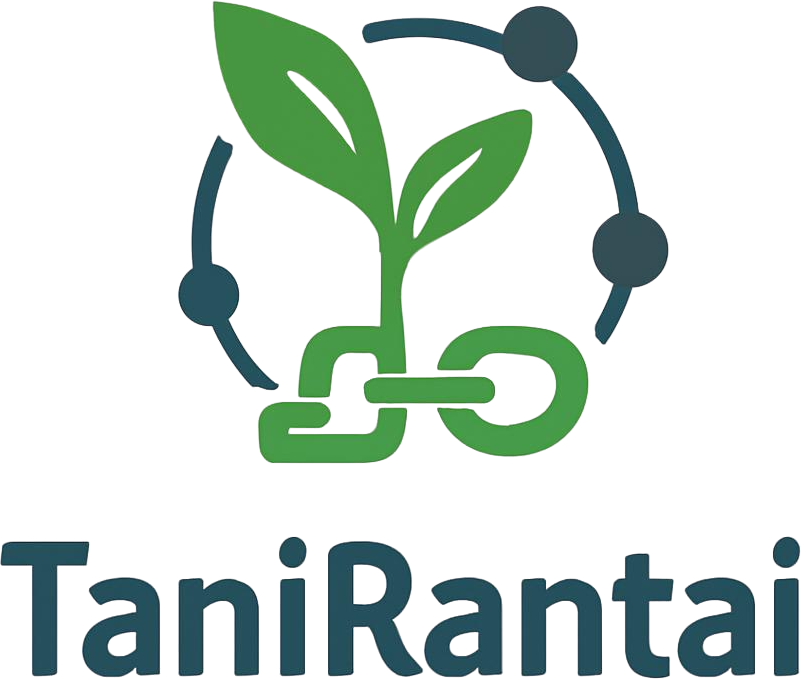 My Website